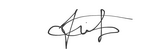 CEO SIGN